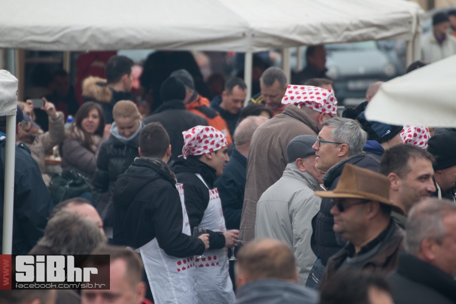 geza_2016_sibhr_19