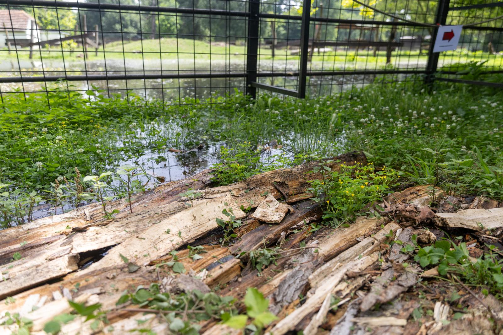 Preplavljeni osječki ZOO vrt intrigira životinje i posjetitelje