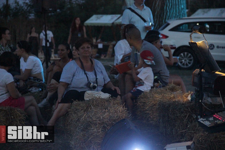 slama2015_subota_SiBhr52