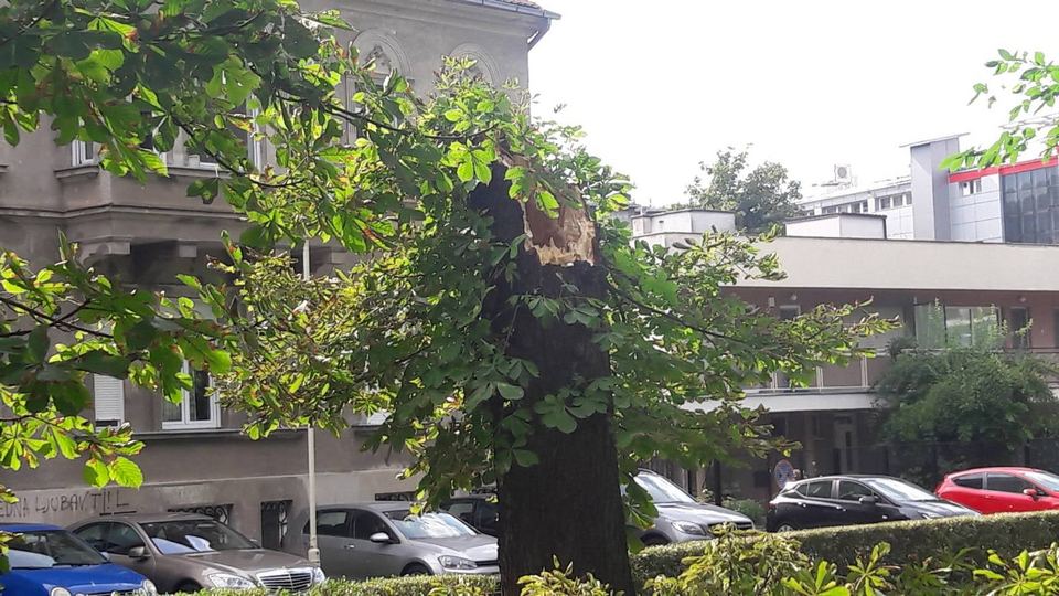 Olujni vjetar rušio drva u Osijeku