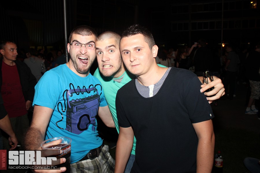 dc_party_sib