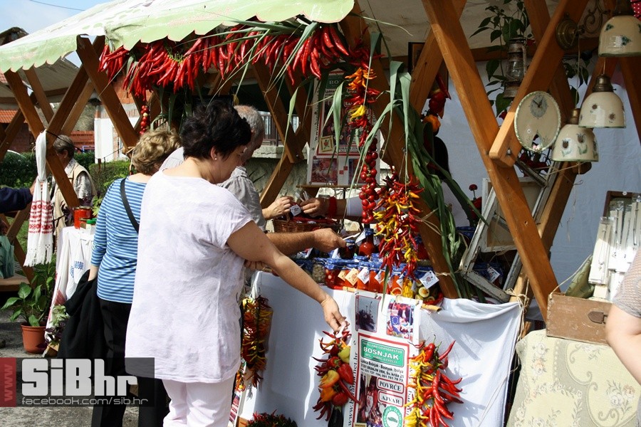 kopacevo_maria_elena_SiB_hr_20 kopacevo_maria_elena_SiB_hr_20