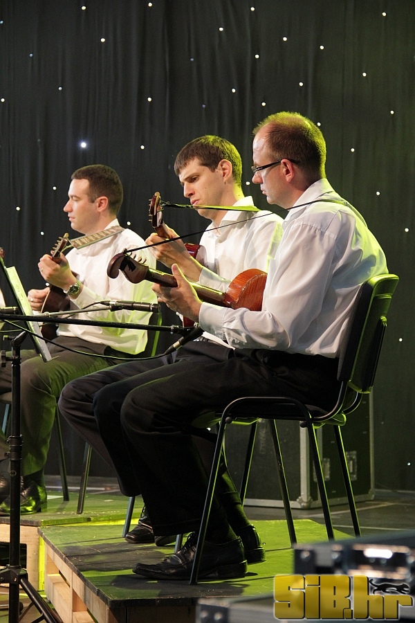 zvonko_bogdan_29_05_2011_sibhr_