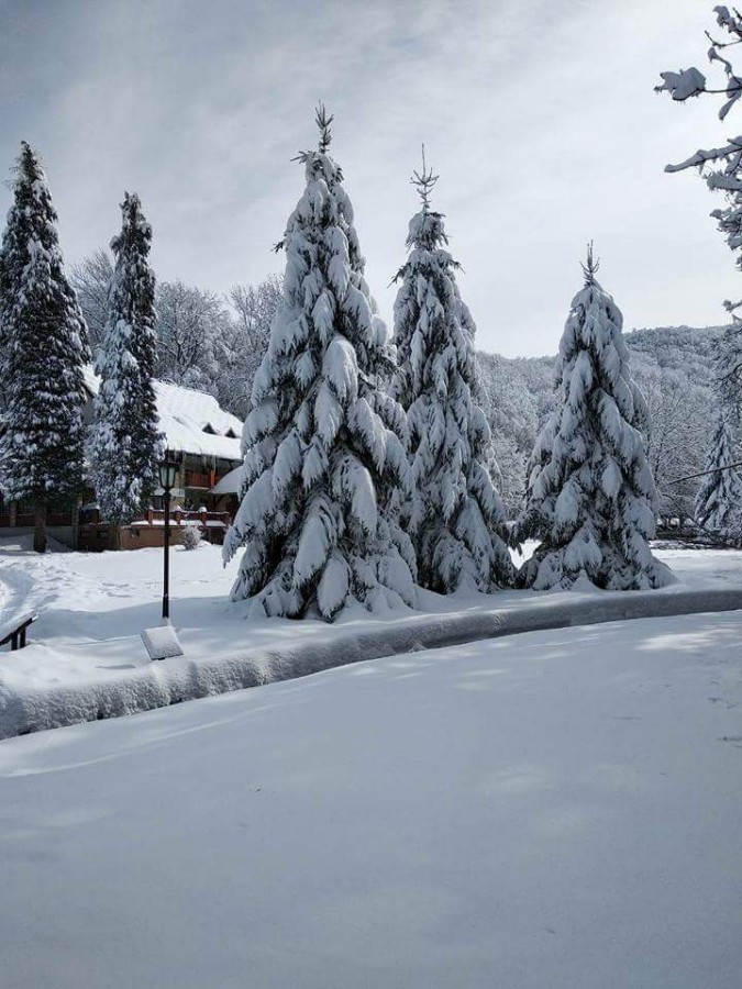 FB_IMG_1519646306816-675×900 FB_IMG_1519646306816-675×900