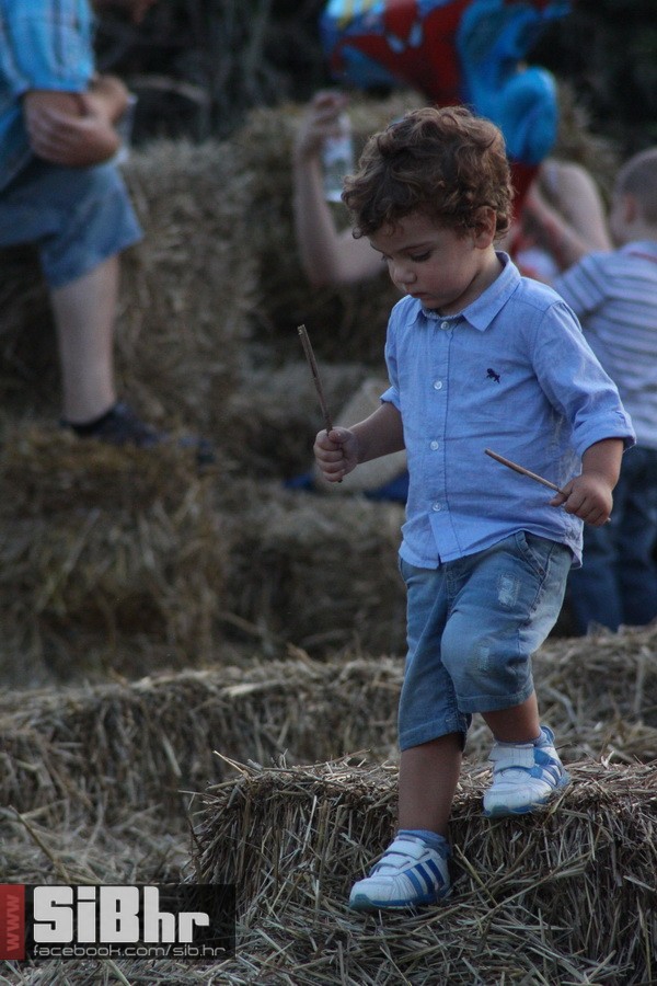 slama_dan_drugi_SiBhr_88 slama_dan_drugi_SiBhr_88