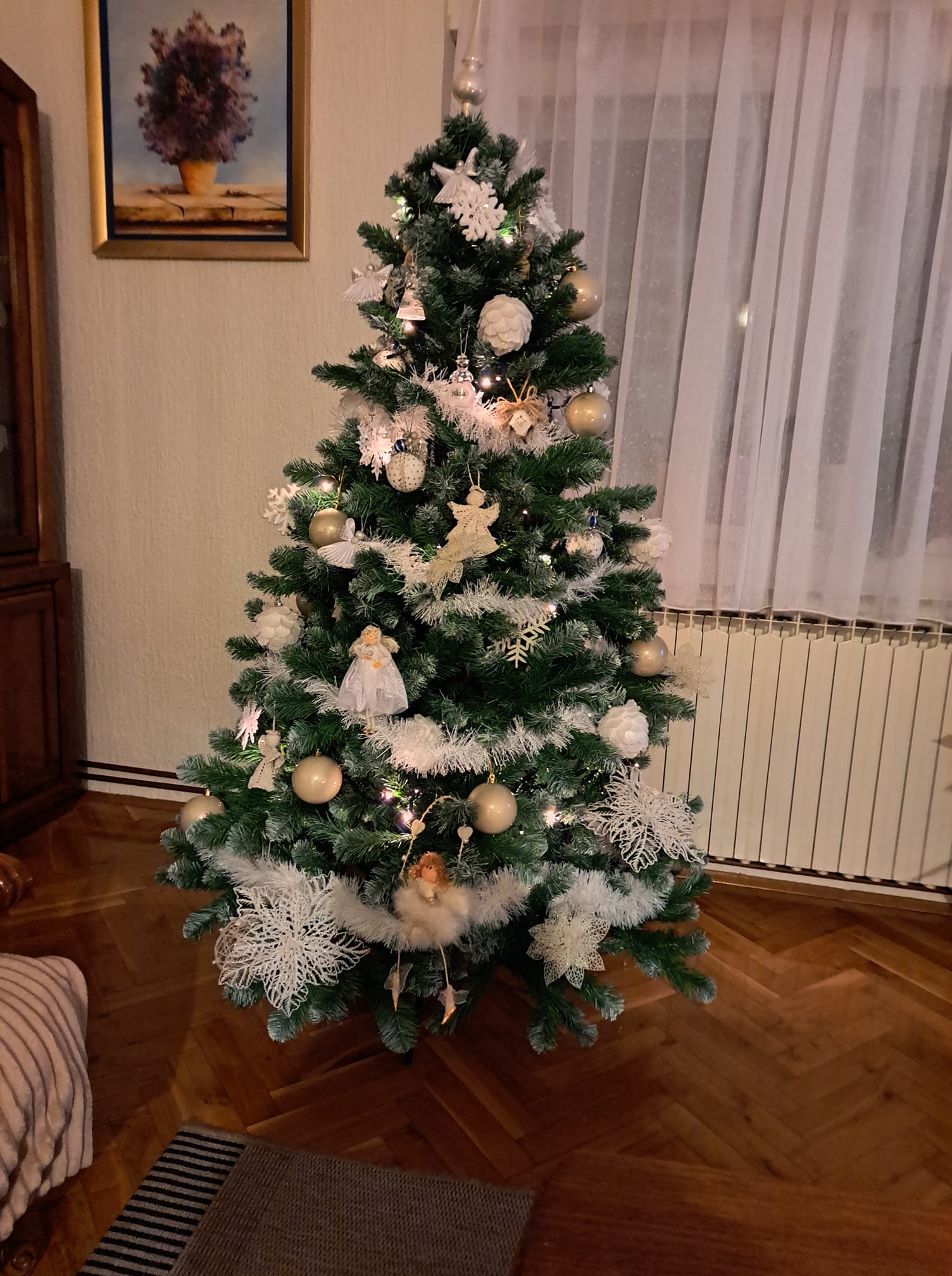 Najljepši borovi na Božić 2023. Najljepši borovi na Božić 2023.