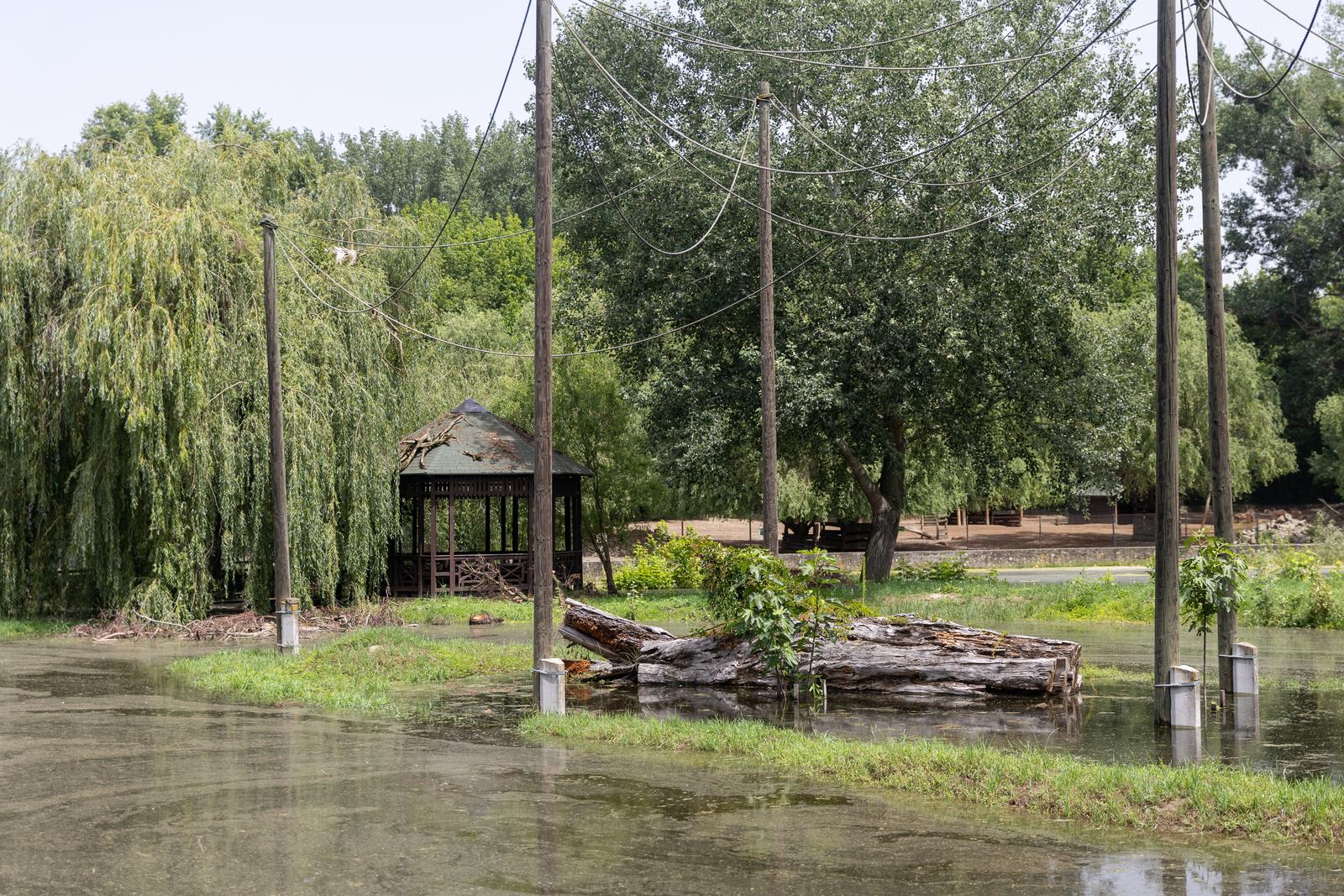 Preplavljeni osječki ZOO vrt intrigira životinje i posjetitelje