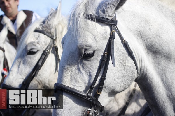 baranja_jahanje_37 baranja_jahanje_37