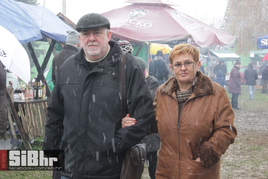 karanac_2015_SiBhr_24