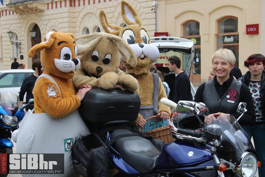 motozeke1804_zoran_osijek_2014_