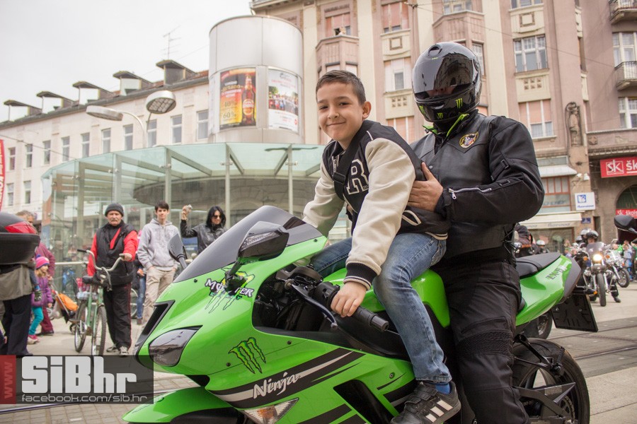 gnijezdo2015_14