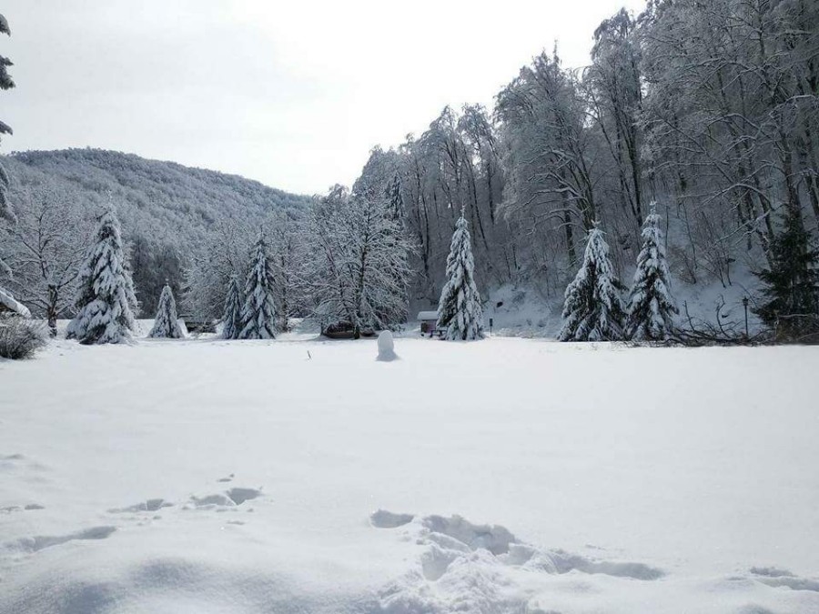 FB_IMG_1519646314280-900×675 FB_IMG_1519646314280-900×675