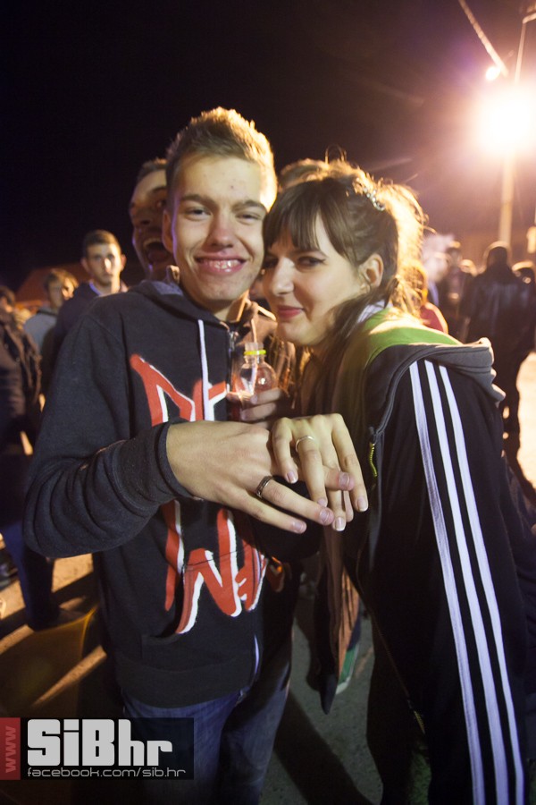 dom_kulture_bilje_11_10_2013_mb