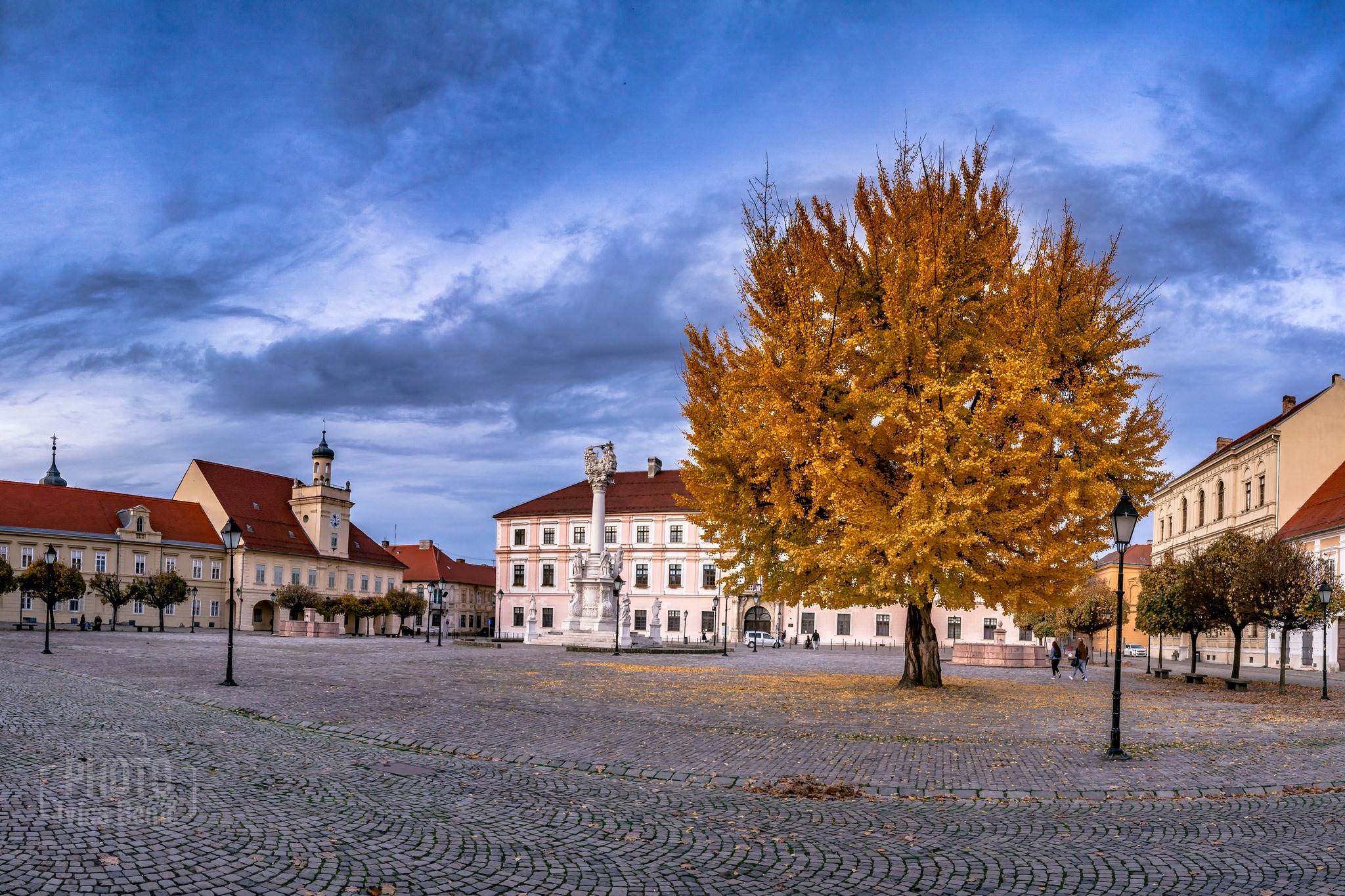 Ginko u osječkoj Tvrđi