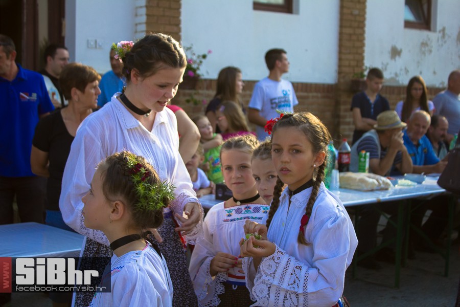 ilocka_berba_1_SiB_hr_100