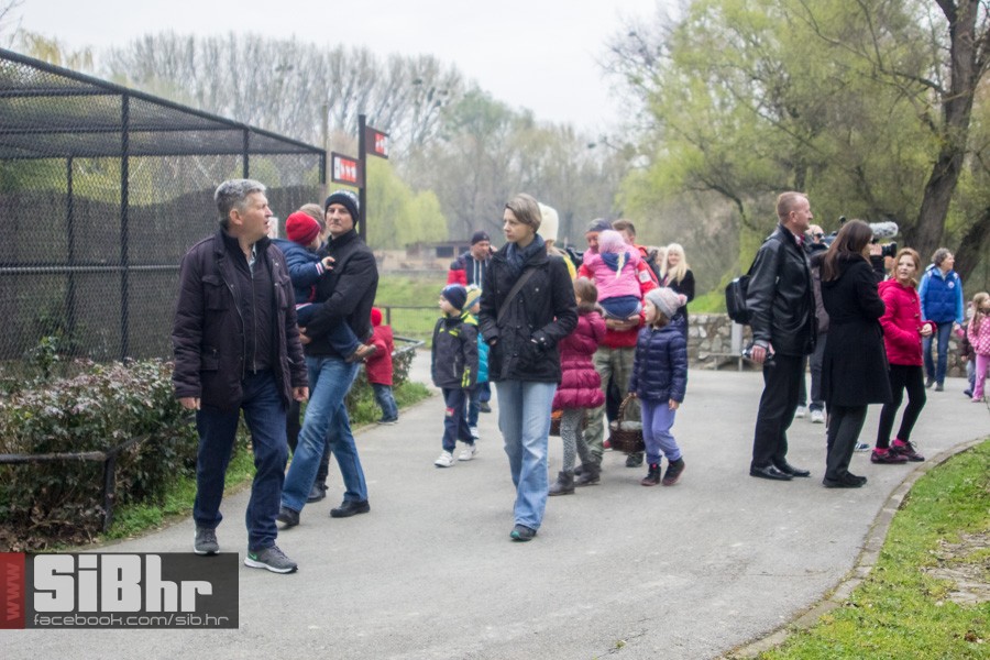 zoo_uskrs_2016_sibhr_92