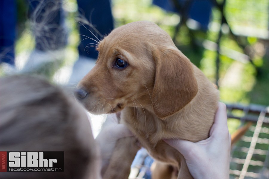 nedjelja_na_autopiji_osijek_30