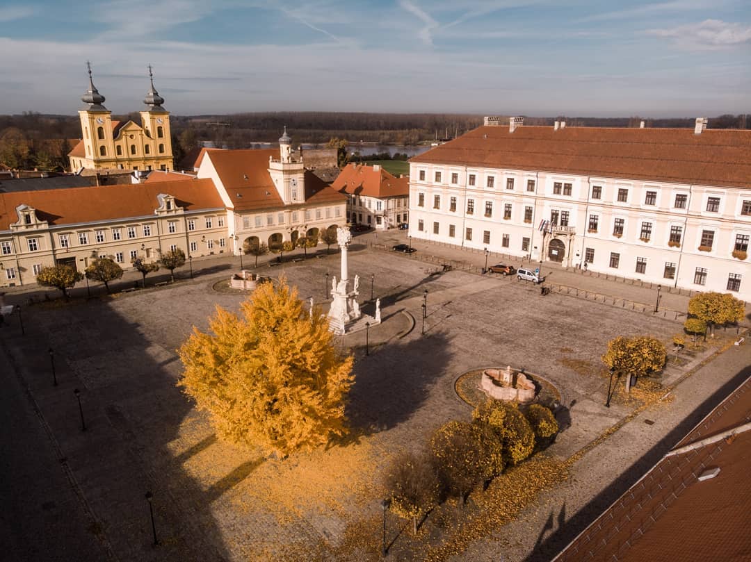 Ginko u osječkoj Tvrđi