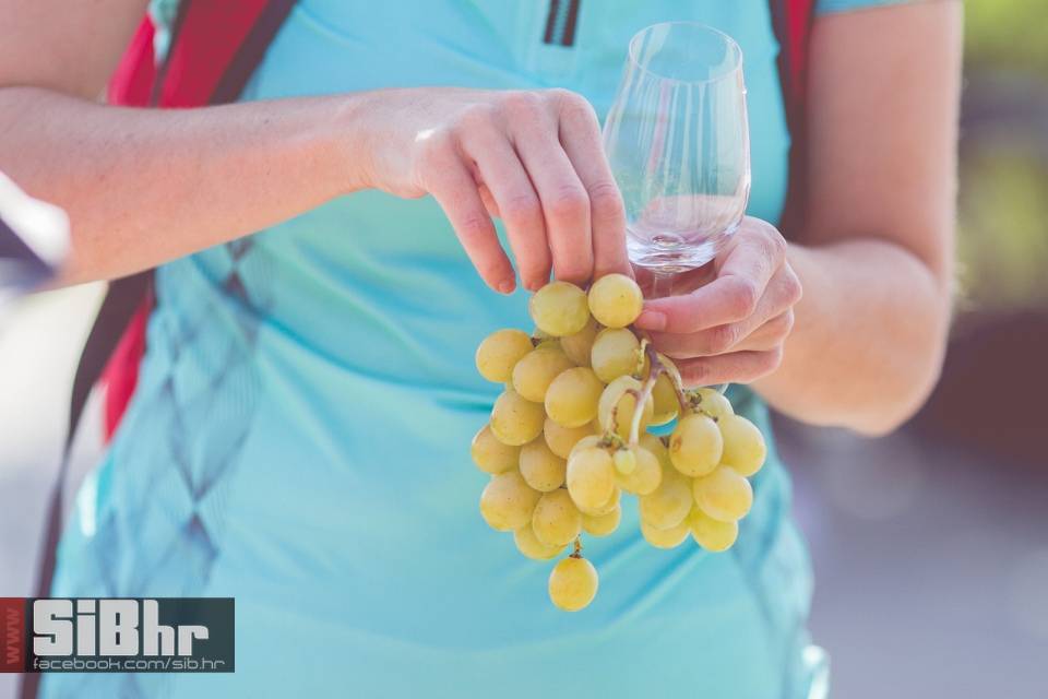 wine_bike_fest_2017_2