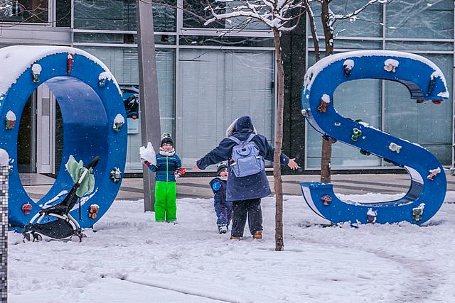 snijeg_osijek_sijecanj_10
