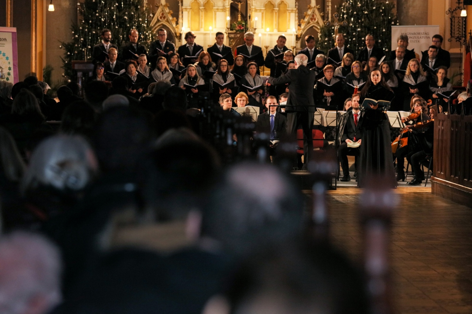 Panonska filharmonija U Osijeku