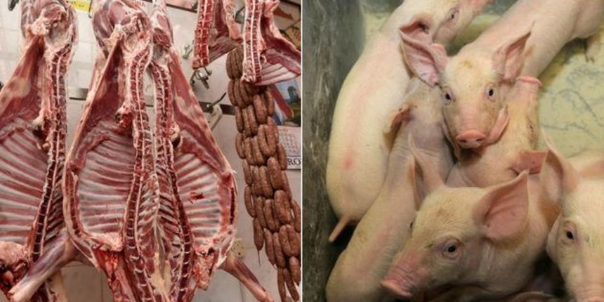 svinjetina-meso-svinje-inspekci svinjetina-meso-svinje-inspekci