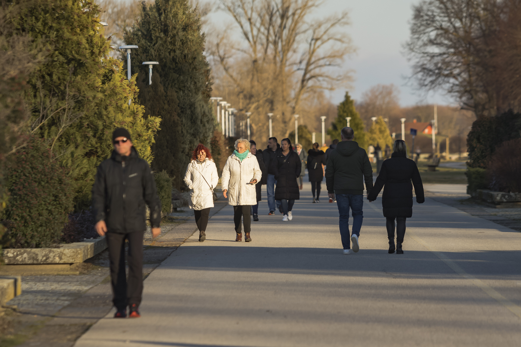 Nedjeljna šetnja 29.1.2024.
