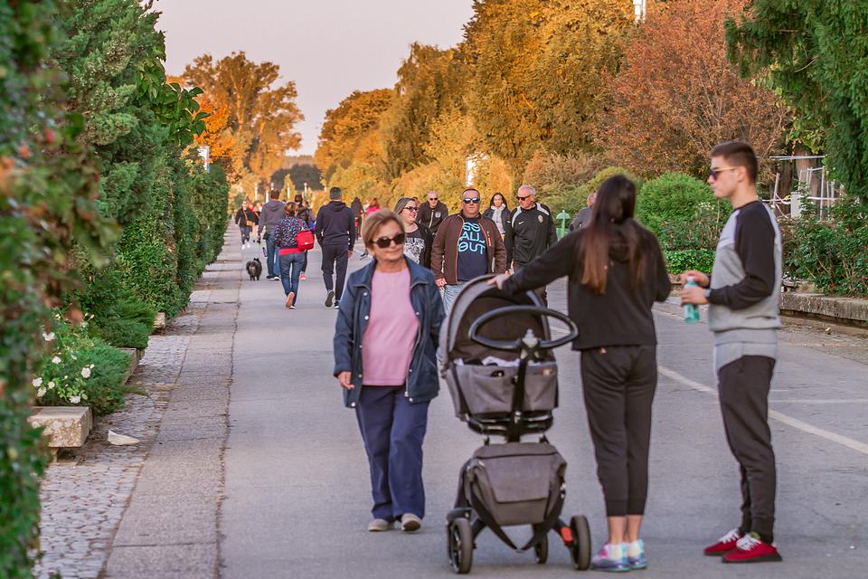 legice i lege u šetnji legice i lege u šetnji