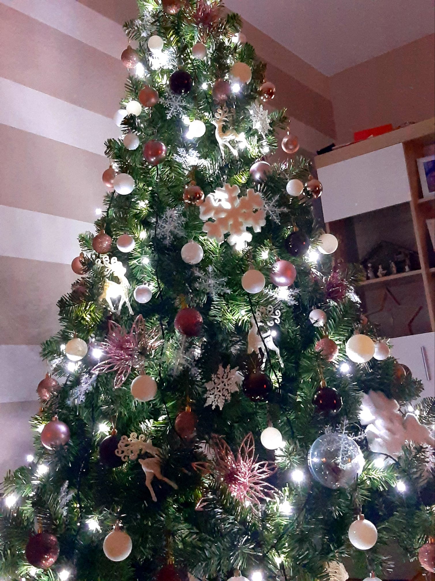 Božićna drvca čitatelja SiB.hr