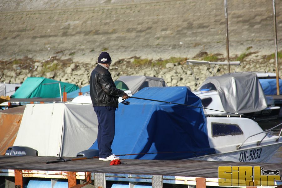 setnja_gradom_7_1_2012_sibhr_47