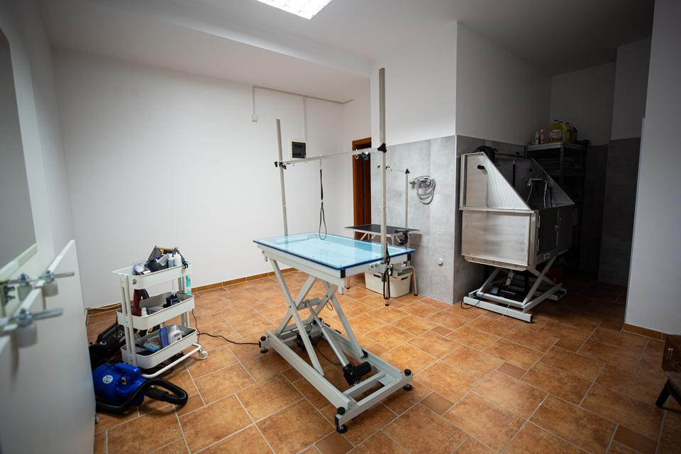 ‘Pas i psići’ novi salon i trgovina za kućne ljubimce u Osijeku
