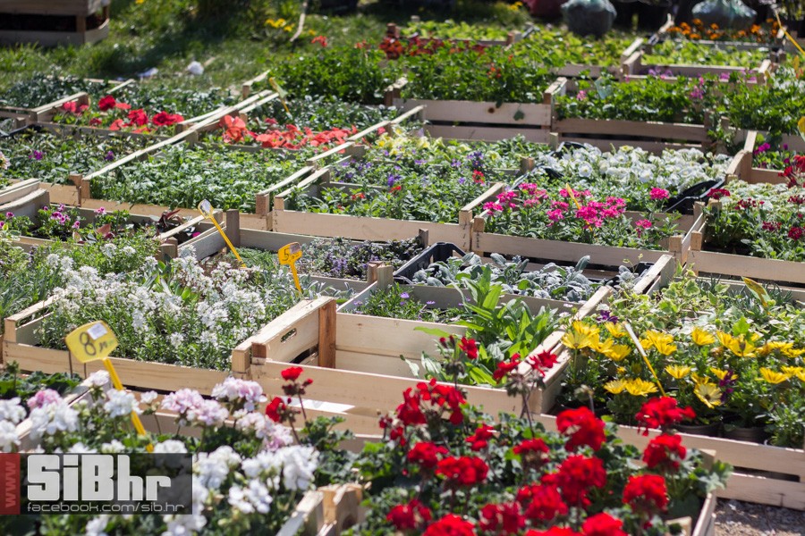 nedjelja_na_autopiji_osijek_22