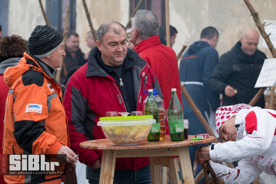 geza_2016_sibhr_35