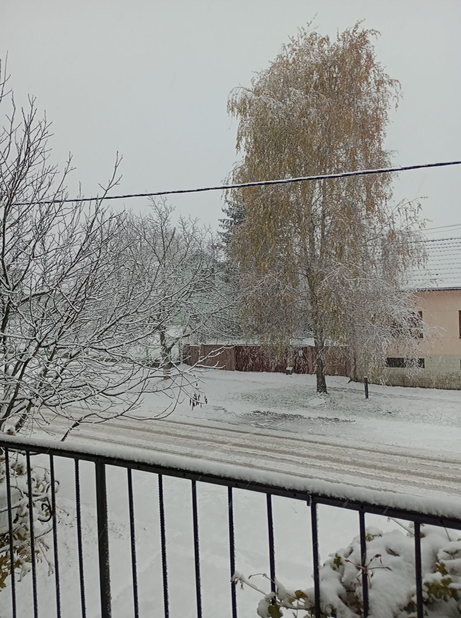 Vukojevci