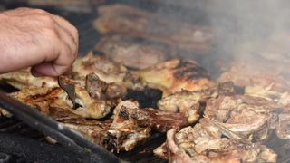 meso roštilj roštiljanje meso roštilj roštiljanje