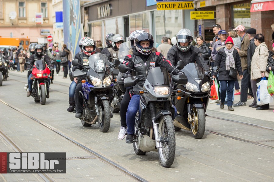 gnijezdo2015_12