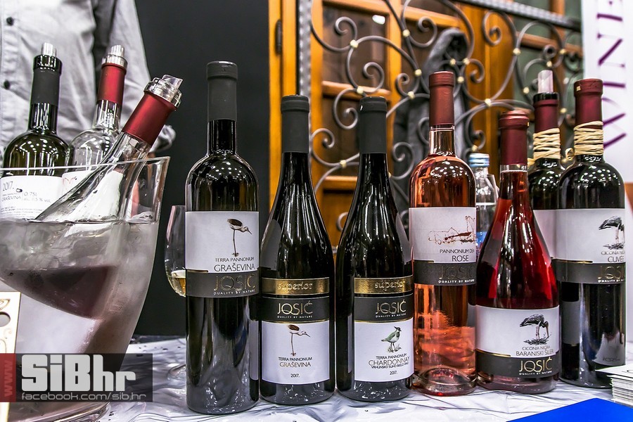 WineOS_fest_2019_SiB_hr-007