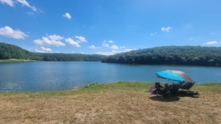 Jezero Borovik