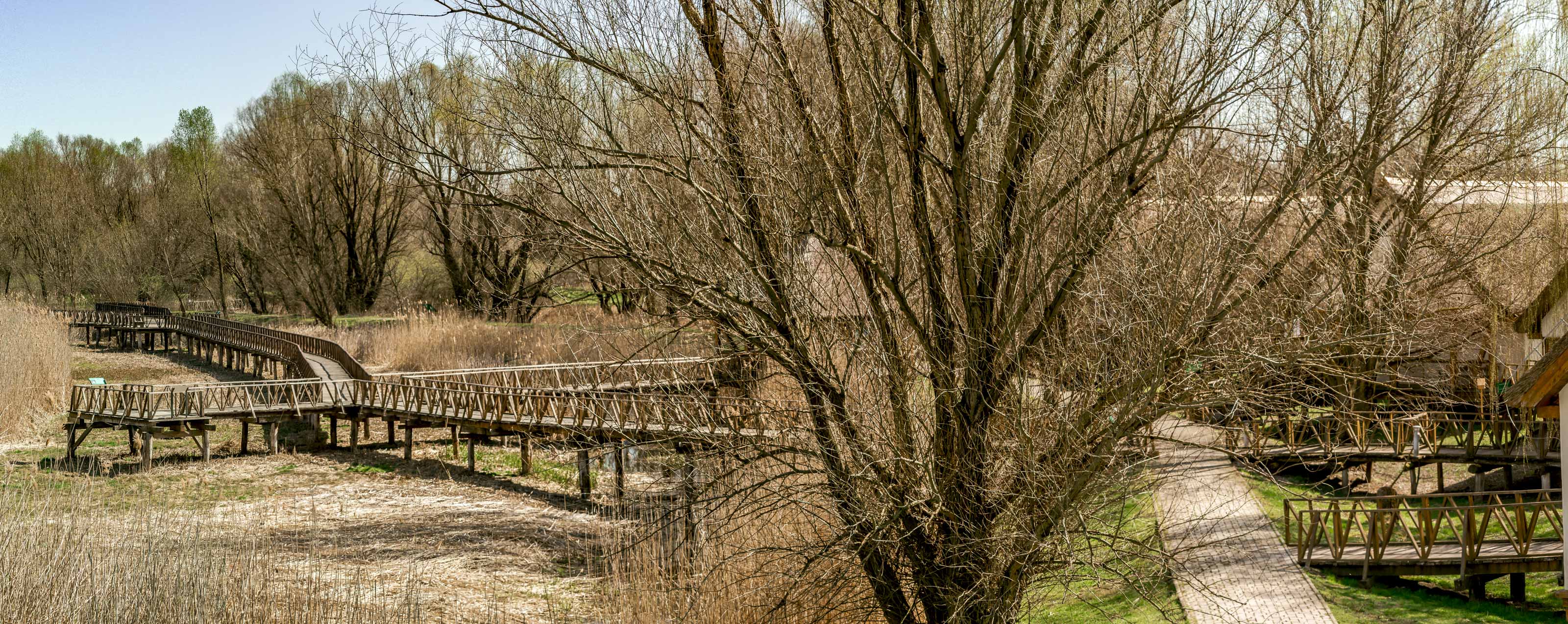 Kopački rit ožujak 2023. Kopački rit ožujak 2023.