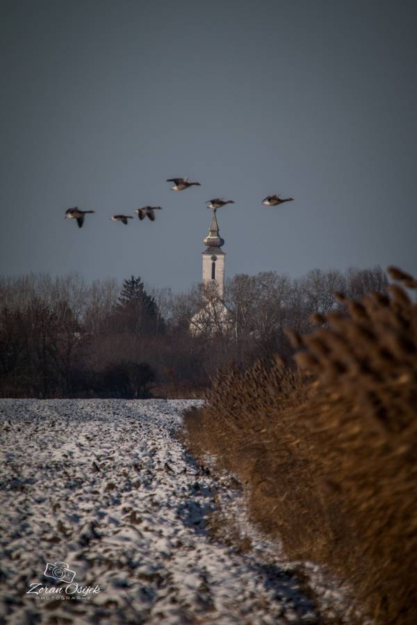 zima_by_zoran_osijek_SiBhr_3