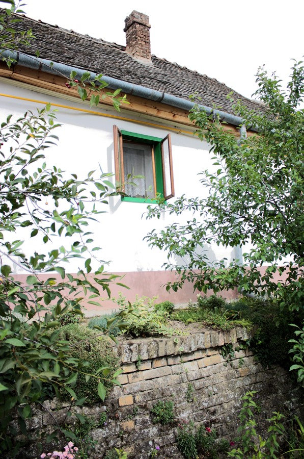 osijek_robert_marinkovic_23