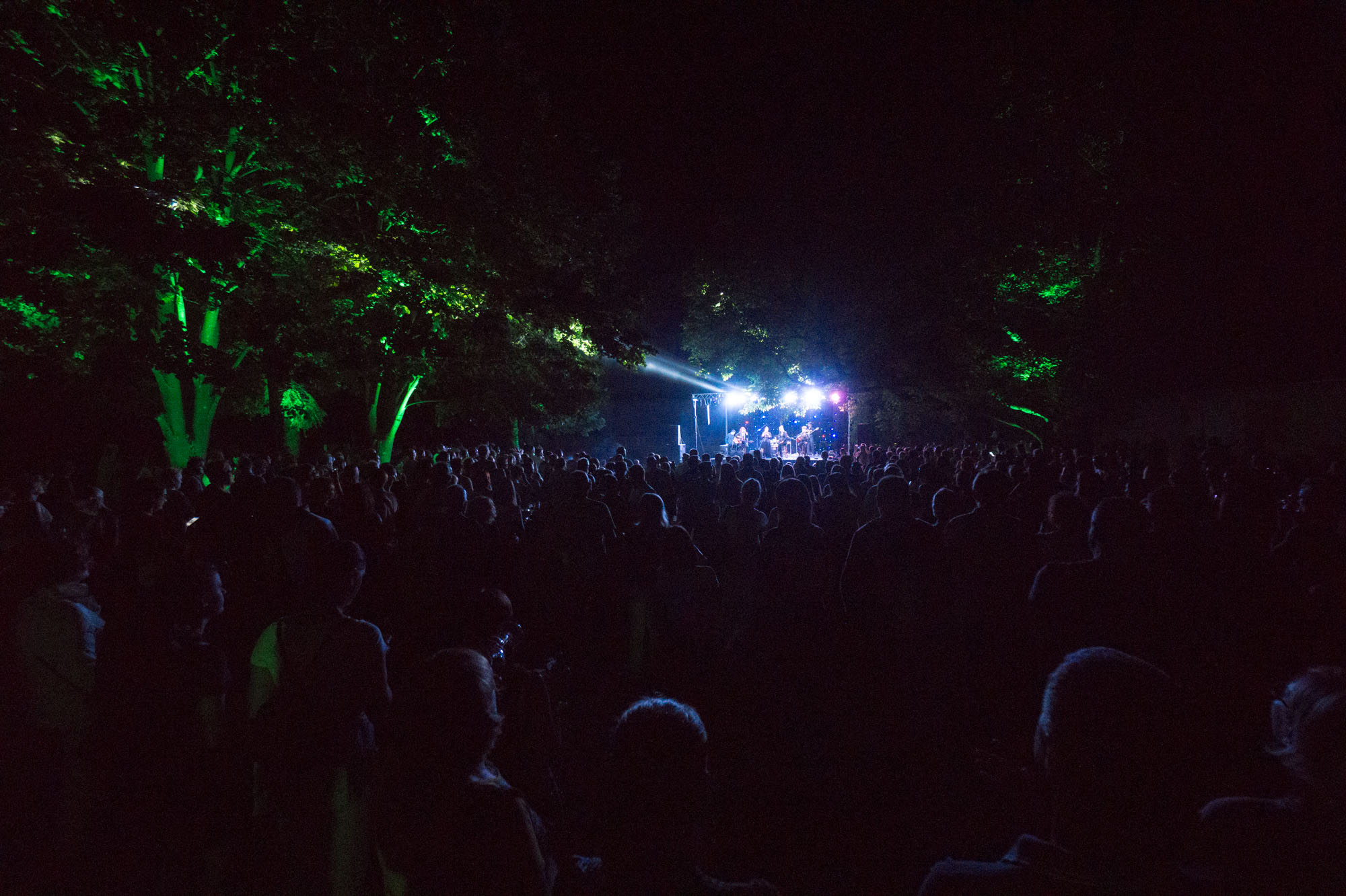DunavArt Festival u Erdutu