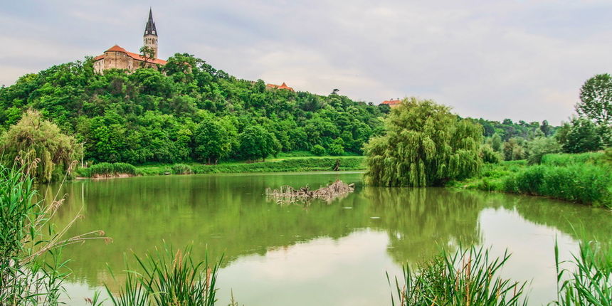kapistrana_zoran_osijek