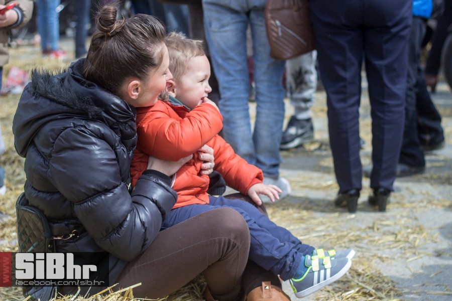 gnijezdo2015_34