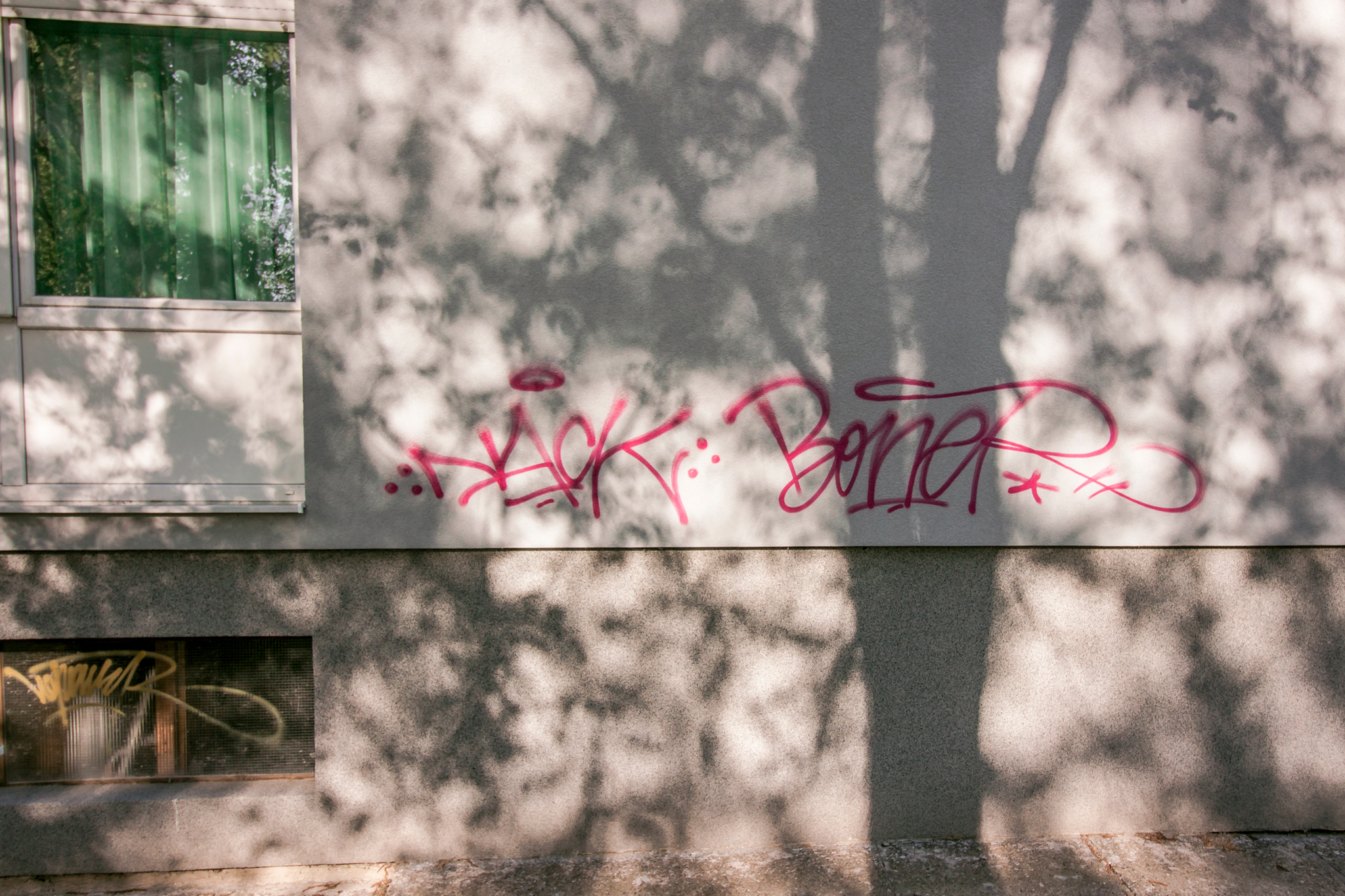 Image 4451255 (auto)