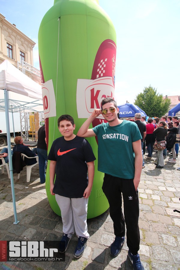 rostiljada_u_tvrdji_38