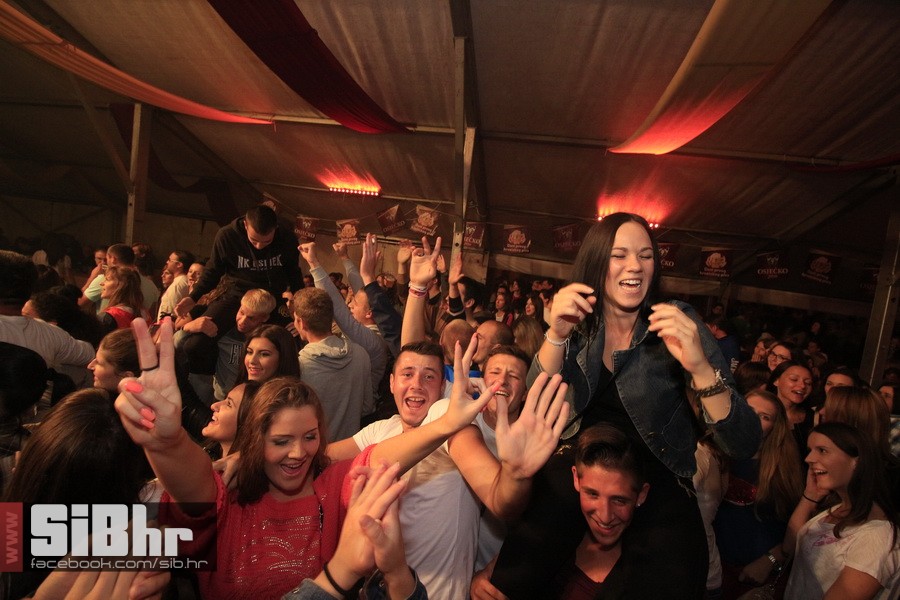dani_prvog_hrvatskog_piva_2014_