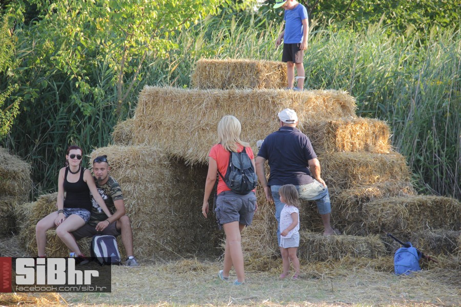 slama2015_subota_SiBhr16
