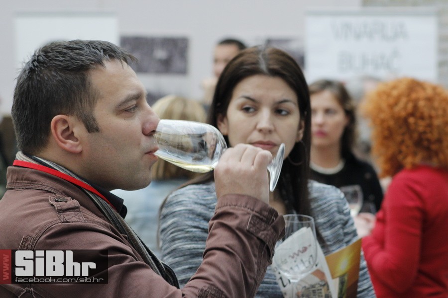 wine_fest_osijek_SiBhr_61
