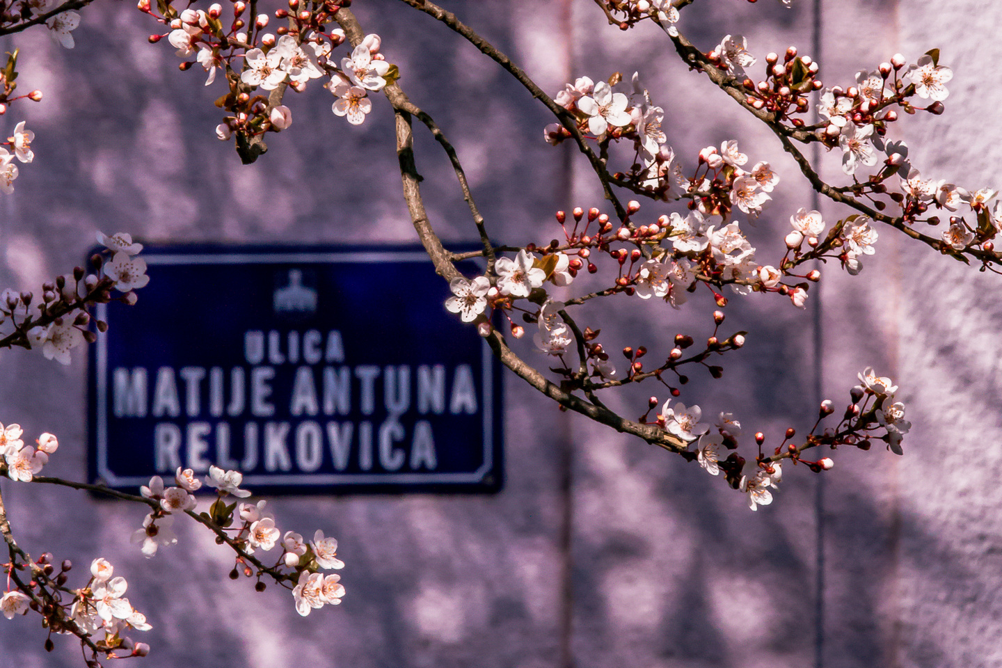 Ulica ringlova u Osijeku